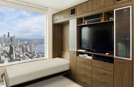 Dark Brown Built in Cabinets With Entertainment Center Murphy Bed and Shelving With Glass Doors and Built in Lighting