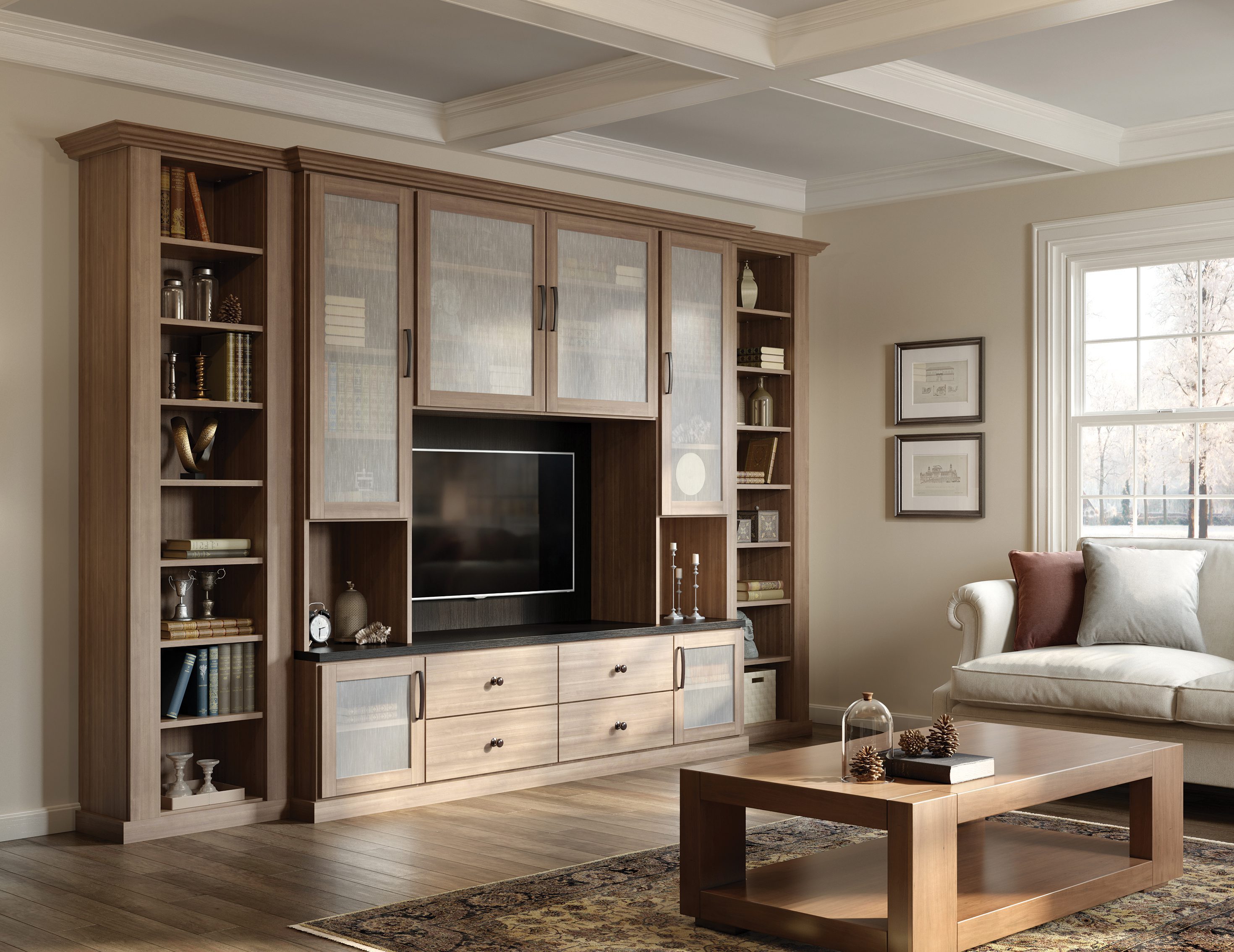 Family Room Cabinets & Storage Solutions | California Closets