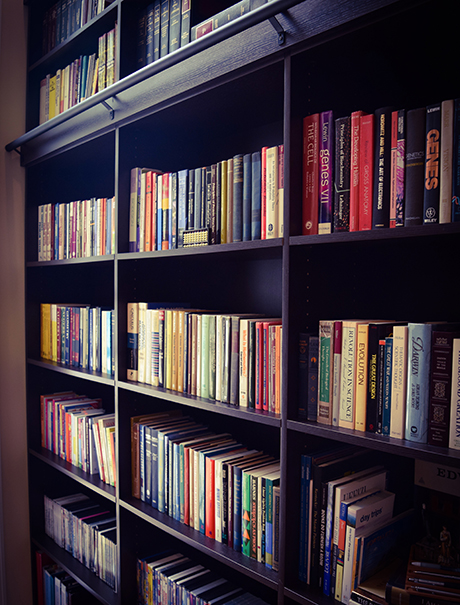 Emerald Library Client Story Organized Book Shelf in Dark Brown Finish