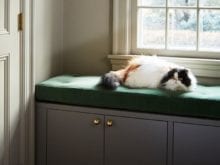 Cat Resting on Green Cushion on California Closets Storage Solution