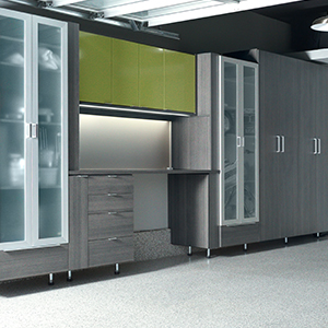 Garage Organization Systems Storage Design Ideas California