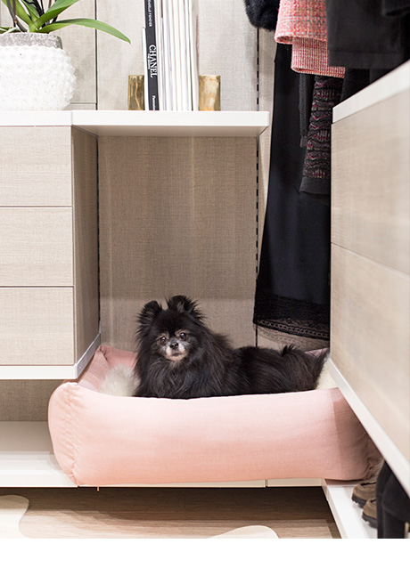 dog on dog bed inside custom closet for Jude Miyashiro | California Closets