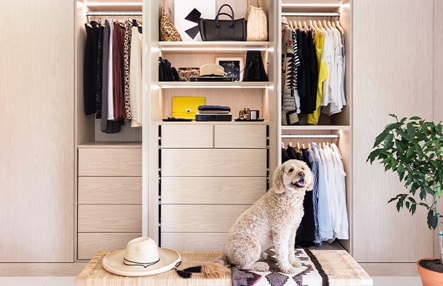 Cute dog sits in front of custom light tan reach in closet | California Closets