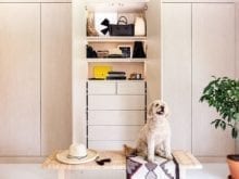 Designer Michelle Adams' dog sitting in front of her custom closet | California Closets