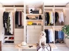 Designer Michelle Adams' dog posing in front of her custom closet | California Closets