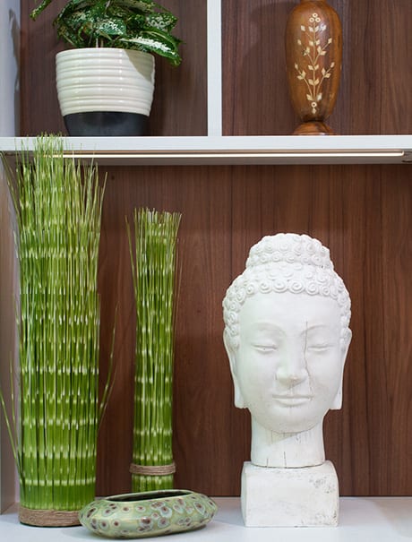 Green plants and Buddha statue head on shelves