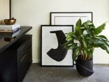 Custom black drawers with a green plant | California Closets