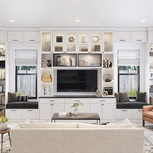Built-in Entertainment Center & Media Cabinets
